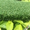 10mm σωρών τεχνητή χλόη γκολφ ύψους φυσική/εσωτερική τοποθέτηση γκολφ πράσινες προμηθευτής